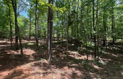 TRACT 3 Chalcrest Way lot: Tr3, Cave Spring, GA 30124