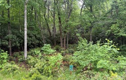 Dogwood Trail, Spruce Pine, NC 28777