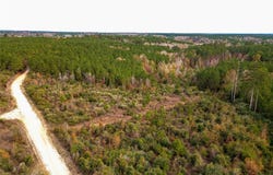 County Road 1247, Center, TX 75935