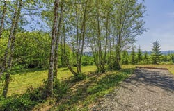 Old Tree Farm Dr, Longview, WA 98632
