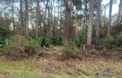 34 Gibson Rd, Apalachicola, FL 32320