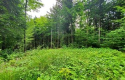 Map18Lot27 Sandy Beach Road, Danforth, ME 04424