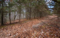 Hickory Drive lot: 4, Pounding Mill, VA 24637