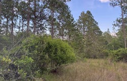 Poppy Drive, Moss Point, MS 39562