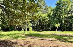 130 Dallas 216, Sparkman, AR 71763