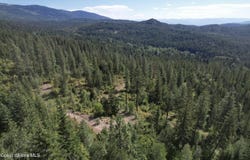 2500 Carr Creek Rd, Sandpoint, ID 83864