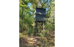1294 Anders Rd, San Augustine, TX 75972