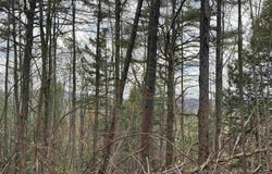 0 Snell Road, Chester, VT 05143