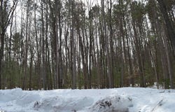 773 GOLF SIDE DRIVE, KALKASKA, MI 49646