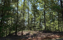 126 Summit Pine, Sunset, SC 29685