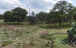 1228 Morning Glory Ln, Adkins, TX 78101