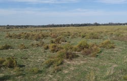 Pecan Valley Drive, Energy, TX 76452