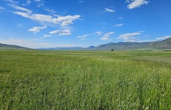 950 BERN Rd, Montpelier, ID 83254