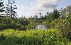 12.55 Acres Juniper Way, Grayling, MI 49738-9199