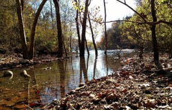 Buttermilk Spring Road, Galena, MO 65656