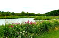 5364 Everson Road, WI 53516-9999