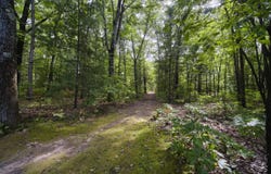 17349 Hoxeyville Road, Wellston, MI 49689