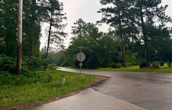 Perdilot Drive lot: 19&20, Woodville, TX 75979