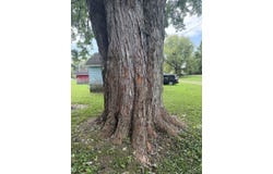 2 Jacobs, Chauncey, OH 45719