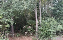 W Huggins Street, Manning, SC 29102