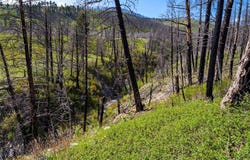 2010 US- 12 Highway E, Townsend, MT 59644