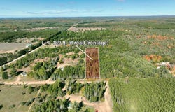 Westwood Road, Mancelona, MI 49659