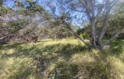 Jim Dalrymple Rd, Leakey, TX 78873