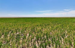 County Road 47, Walsh, CO 81090