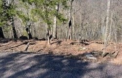 1092 Forest Way, Marthasville, MO 63357