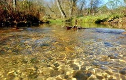 2670 County Road 132, Wasola, MO 65773