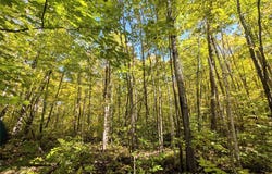County Road B, Hunter, WI 54843