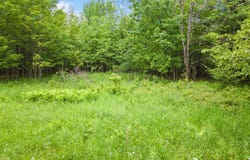 255 Lassen Road, Middleburgh, NY 12122