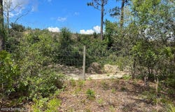 LADY BUG Lane, Melrose, FL 32666