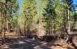 Point Lane, Cascade, ID 83611