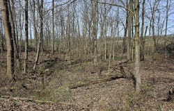 8475 Ross Road, Muir, MI 48860