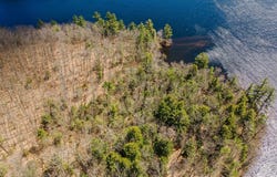 forest Road, Alstead, NH 03602
