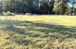 Ashdown, AR 71822