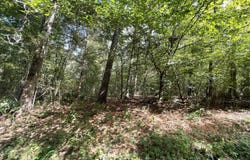 Roberts Lane, Wesson, MS 39191