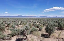 8410 W 5200 N, Beryl, UT 84714