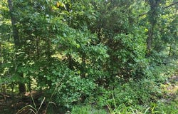 Marina Ridge Rd, HOLLADAY, TN 38341