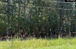 Wildwood Rd Extension, Leesville, SC 29070