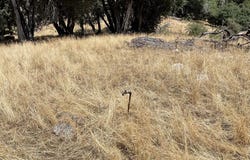 Forrest Road 1N19, Twain Harte, CA 95379
