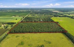 NW 30th Ave, Trenton, FL 32693