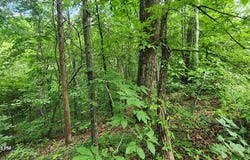 ID22 Lakeview Trail, HOLLADAY, TN 38341