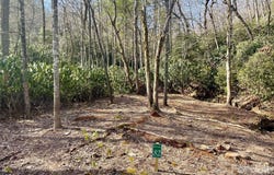 Dogwood Trail, Spruce Pine, NC 28777