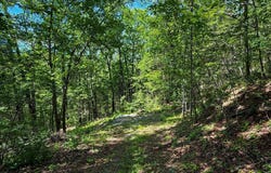 29 BLUFF Trail, GERRARDSTOWN, WV 25420