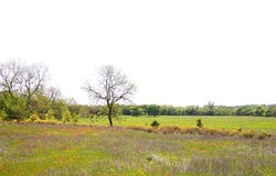 55 AC Starr Mann, St Jo, TX 76265
