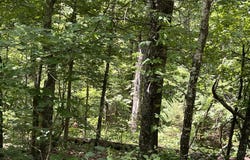 Pr Off Ridge Haven, Mammoth Spring, AR 72554