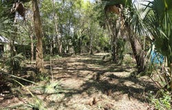 257 7th St, Apalachicola, FL 32320