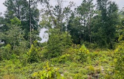 6283 Vanderbilt, Keystone Heights, FL 32656